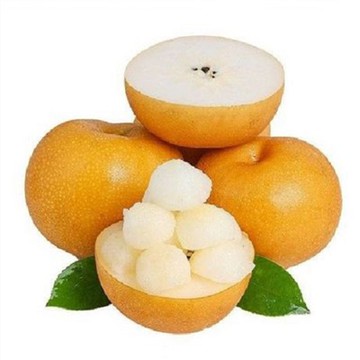 Qiuyue asiatisk pære